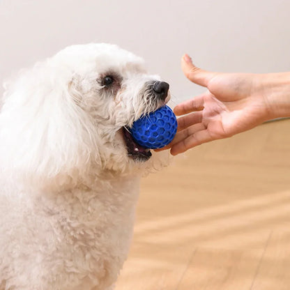 Durable Squeaky Dog Ball Toy - Tough TPR Rubber for Aggressive Chewers, Enhances Dental Health, Perfect for Teething Relief, Interactive Fetch and Play for All Dog Sizes