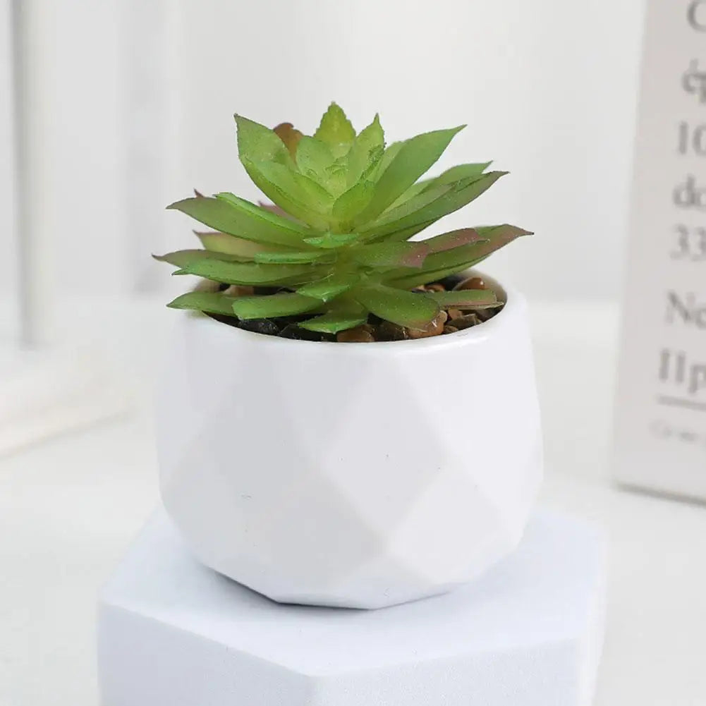 mini artificial succulent bonsai plants, plastic evergreen decor for home, office, outdoor, desktop ornaments, perfect for exhibitions and anniversaries