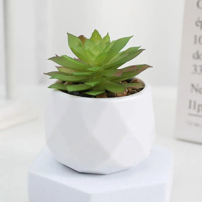 Mini Artificial Succulent Bonsai Plants, Plastic Evergreen Decor for Home, Office, Outdoor, Desktop Ornaments, Perfect for Exhibitions and Anniversaries