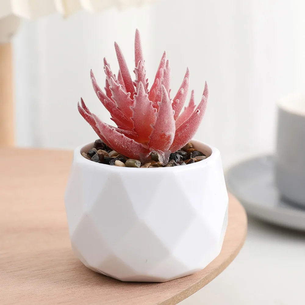 artificial succulent plants, plastic potted cactus, realistic greenery for home decor, small bonsai for indoor display, low maintenance, modern office design
