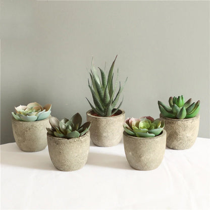 Mini Artificial Aloe Bonsai Plant in Plastic Pot - Fake Floral Ornament for Office Table, Home Decor, Garden Display, Exhibition or Outdoor Use, 1 Piece