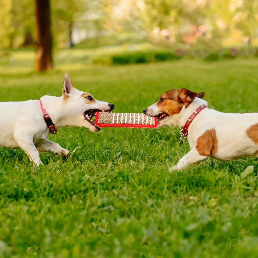 natural jute dog chew toy | bite-resistant sturdy stick for puppies & adult dogs | safe non-toxic material | ideal for teething, dental health, fetch & play