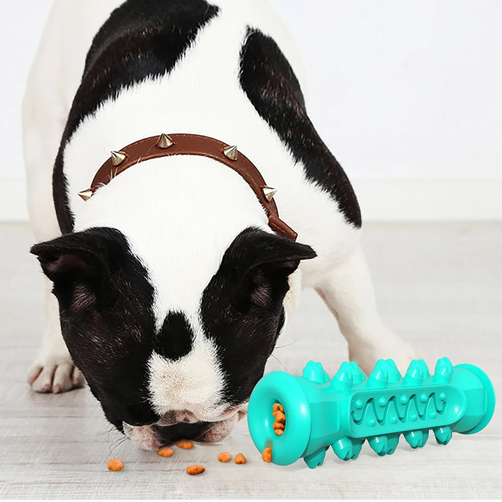 durable rubber chew toy for medium to large dogs, interactive bone for dental health, safe teething toy, ideal for retrievers & terriers, pet gift, easy to clean