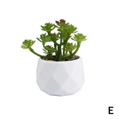 Mini Artificial Succulent Bonsai Plants, Plastic Evergreen Decor for Home, Office, Outdoor, Desktop Ornaments, Perfect for Exhibitions and Anniversaries
