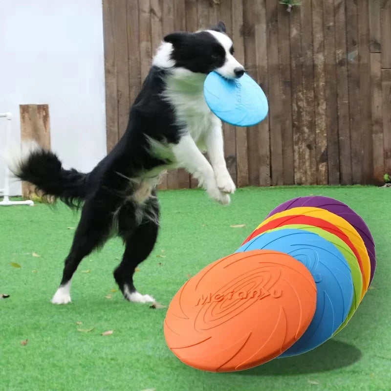 7" rubber dog flying disc, fetch toy for outdoor fun, floatable and lightweight, bright colours, ideal for training and play on water and land