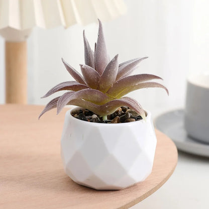 Artificial Succulent Plants, Plastic Potted Cactus, Realistic Greenery for Home Decor, Small Bonsai for Indoor Display, Low Maintenance, Modern Office Design