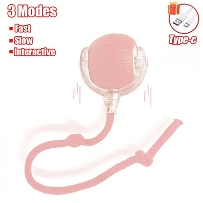 Interactive Pet Toy Ball for Cats & Dogs - Rechargeable Electric Mouse Imitation, Faux Tail, Automatic Rolling, Durable Rubber & Plastic, Ideal for Play & Training