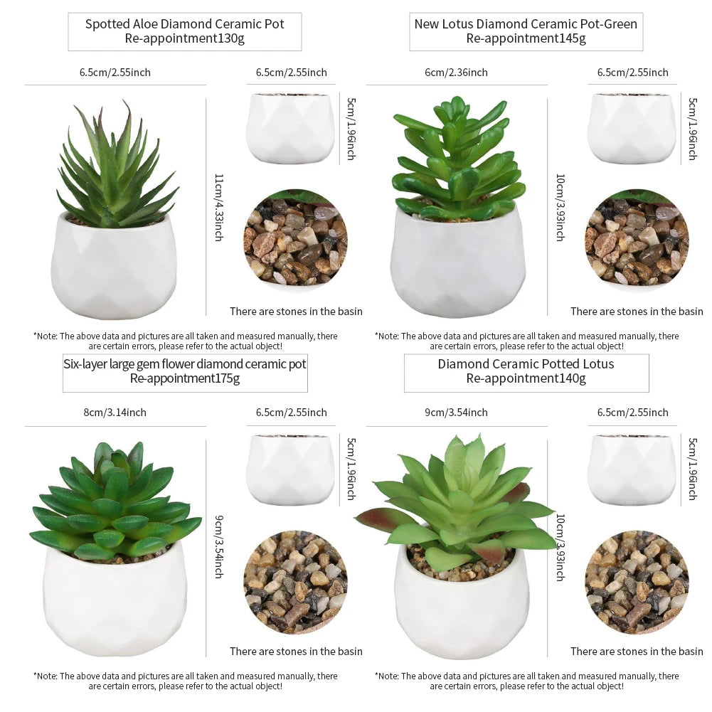 4 assorted echeveria indoor plants – ideal for desks, shelves, windowsills – natural air purifiers, lively décor, easy care, pvc-free, home office display, anniversary gifts