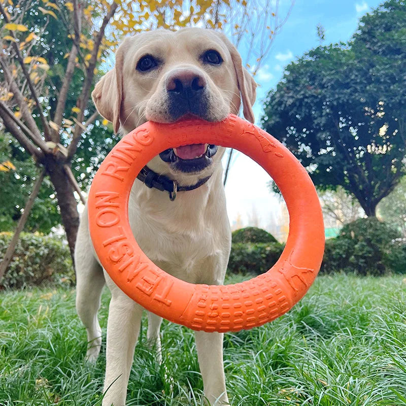 durable orange dog toy flying disc, eva rubber, interactive fetch ring, pet exercise accessory, safe flexible design, easy grip, outdoor training, perfect for active dogs