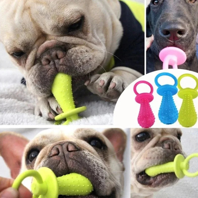 rubber pacifier ring chew toy for small dogs | durable bite-resistant | promotes dental health | puppy training aid | random colourful selection