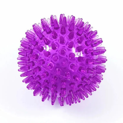 Dog Chew Toy Ball, Rubber Squeaky Ball for Tooth Cleaning, Interactive Thorn Design, Ideal for Puppy Training, Fetch Games, Durable, Safe, Indoor and Outdoor Use