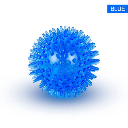 Interactive Sound Ball for Cats & Dogs - Durable Chew Toy, Dental Health, Engaging Noise, Thorn Texture, Exercise & Training Aid, Plastic Pet Toy for Active Playtime