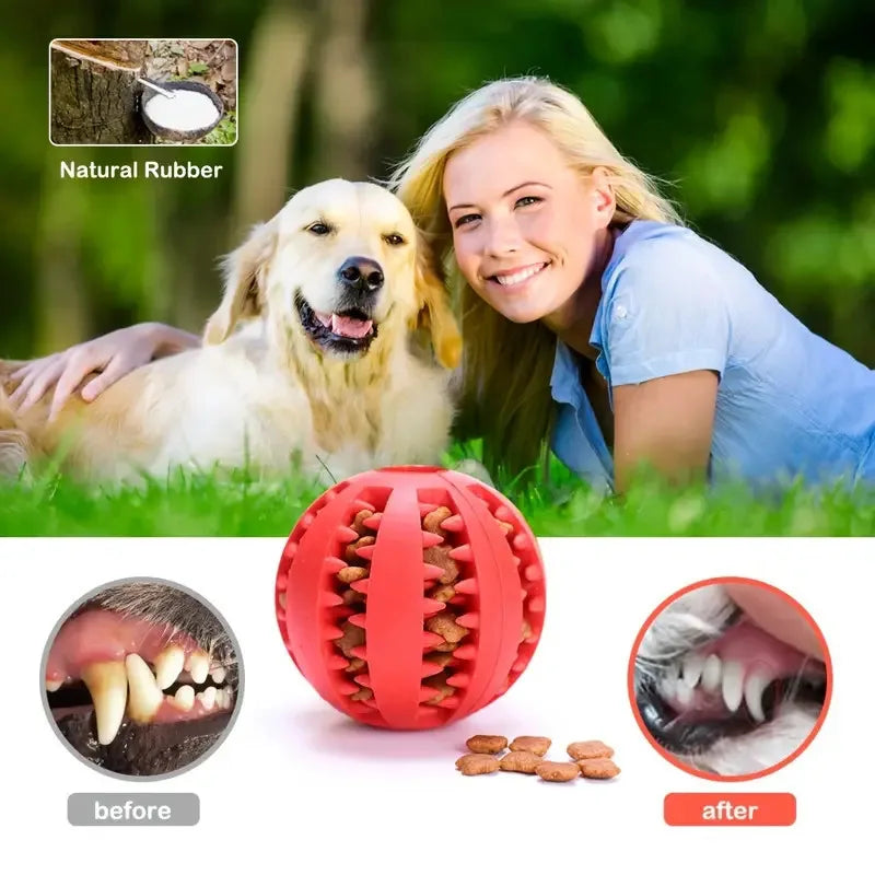 interactive rubber dog ball toy, bite-resistant, food-dispensing, durable, cleans teeth, encourages play, boosts dental health, ideal for active dogs, fetch indoor outdoor