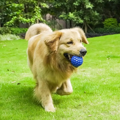 Interactive Dog Toy Balls - Bite-Resistant Rubber, Teething & Teeth Cleaning, Sound Enhanced, Honeycomb Grip, Perfect for Fetch & Chew, Dogs of All Sizes, Indoor/Outdoor Play