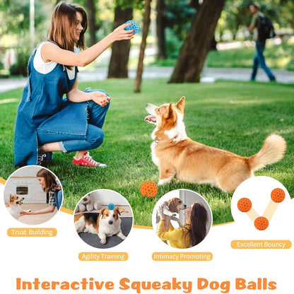 Durable Dog Ball Set, Non-Toxic Rubber Chew Toys for Aggressive Chewers, Teething Puppies, Fetch, Interactive Play, Easy-to-Clean Pet Balls for Active Playtime
