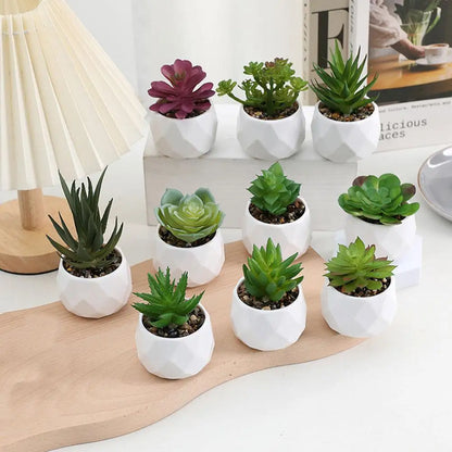 Mini Artificial Succulent Bonsai Plants, Plastic Evergreen Decor for Home, Office, Outdoor, Desktop Ornaments, Perfect for Exhibitions and Anniversaries