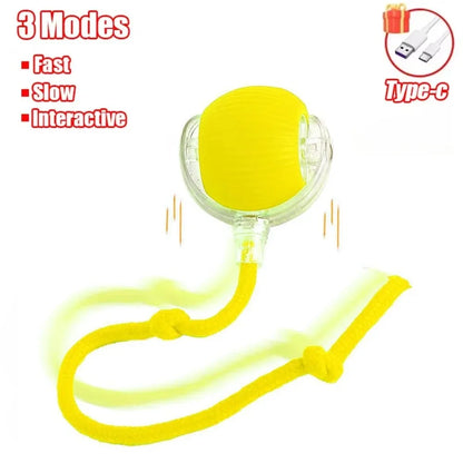 Interactive Pet Toy Ball for Cats & Dogs - Rechargeable Electric Mouse Imitation, Faux Tail, Automatic Rolling, Durable Rubber & Plastic, Ideal for Play & Training