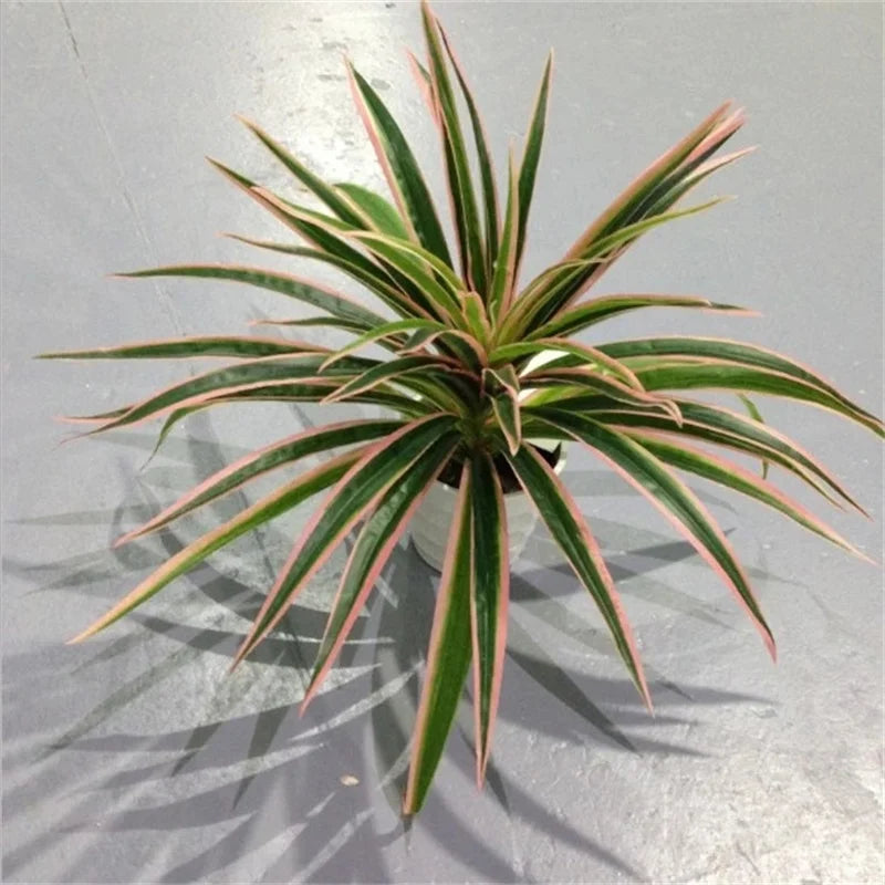 artificial silk chlorophytum branch faux plant for indoor desktop decor, ideal for office, home, and outdoor exhibitions - no pot