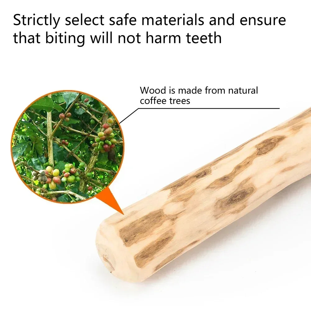 natural wood dog chew sticks - safe non-toxic dental toys, promotes healthy teeth, anxiety relief, durable pet chews for puppies and adults, enhances calmness, ideal for all dogs