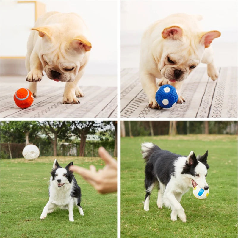 soft latex pet ball toy for dogs, squeaky rugby tennis volleyball football basketball, teeth cleaning, training & play for small to large breeds