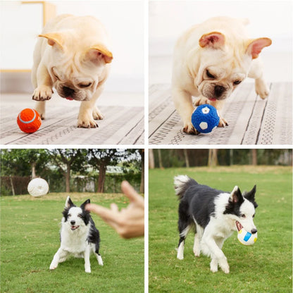 Soft Latex Pet Ball Toy for Dogs, Squeaky Rugby Tennis Volleyball Football Basketball, Teeth Cleaning, Training & Play for Small to Large Breeds