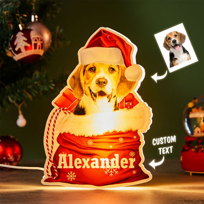 Personalized Pet Night Light Custom Photo Christmas Gift Lamp