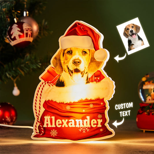 Personalized Pet Night Light Custom Photo Christmas Gift Lamp