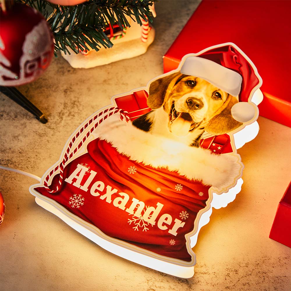 personalized pet night light custom photo christmas gift lamp