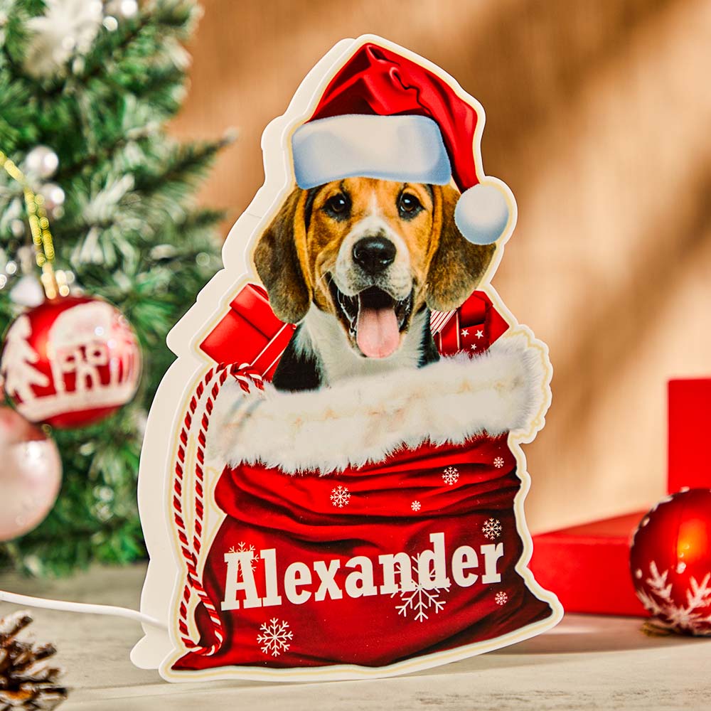 personalized pet night light custom photo christmas gift lamp