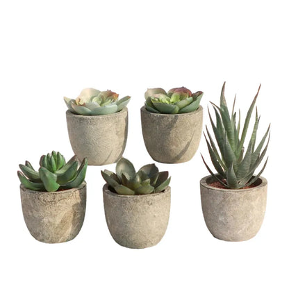 Mini Artificial Aloe Bonsai Plant in Plastic Pot - Fake Floral Ornament for Office Table, Home Decor, Garden Display, Exhibition or Outdoor Use, 1 Piece