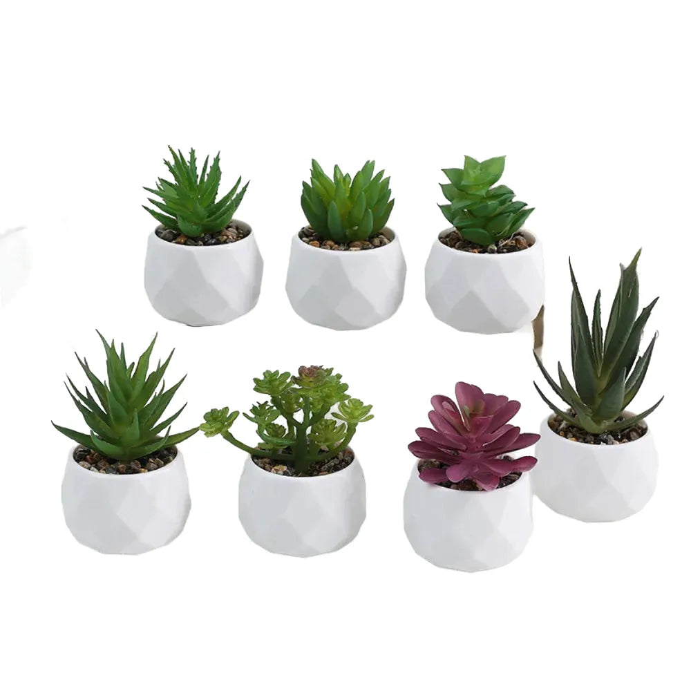 artificial succulent plants, plastic potted cactus, realistic greenery for home decor, small bonsai for indoor display, low maintenance, modern office design