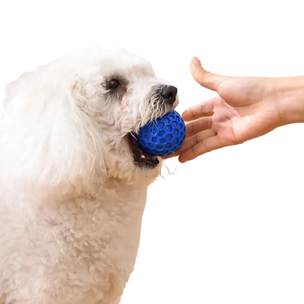 durable squeaky dog ball toy - tough tpr rubber for aggressive chewers, enhances dental health, perfect for teething relief, interactive fetch and play for all dog sizes
