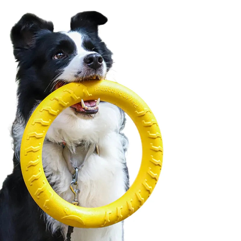 durable dog toy set with training puller & floating chew disc, ideal for aggressive chewers, anti-bite design, boosts active play and physical exercise for dogs