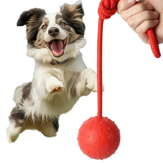 Rubber Ball with Rope Dog Chew Toy, Indestructible Pet Bite Training Aid, Molar Interactive Play, Funny Puppy Teething Toy, Durable Solid Design for Active Dogs