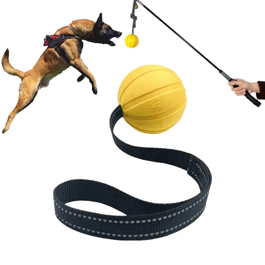 Durable Dog Tug Ball Rope Toy, Rubber & Nylon for Aggressive Chewers, Buoyant for Water Play, Interactive Play for Small to Large Dogs, Exercise & Bonding Tool