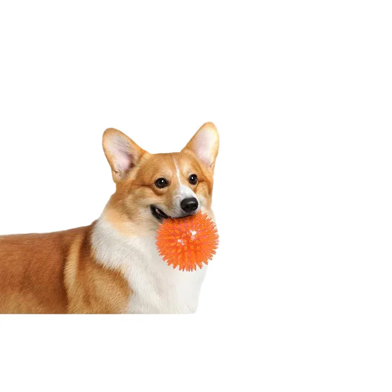 interactive sound ball for cats & dogs - durable chew toy, dental health, engaging noise, thorn texture, exercise & training aid, plastic pet toy for active playtime