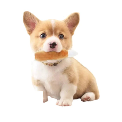 Chicken Leg Shaped Dog Plush Toy, Squeaky Fleece Chew, Interactive Puzzle Plaything for Small Puppies, Ideal for Fetch, Tug, and Travel, Engaging Pet Gift