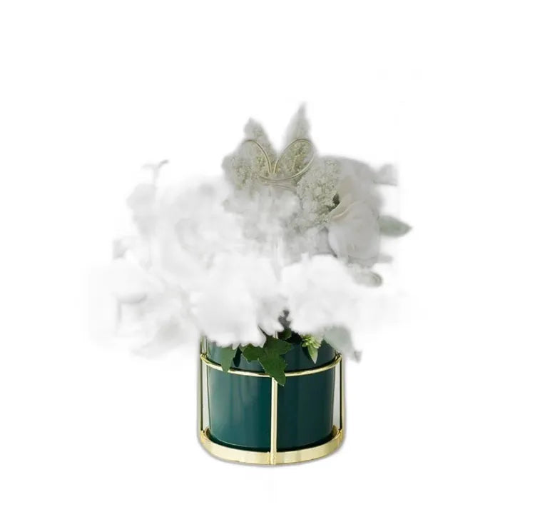 cleaned variant image