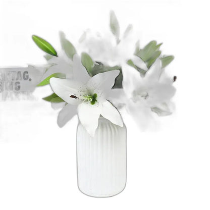 Cleaned variant image