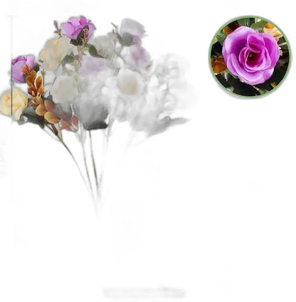 Cleaned variant image