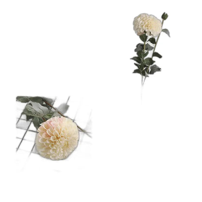 Cleaned variant image