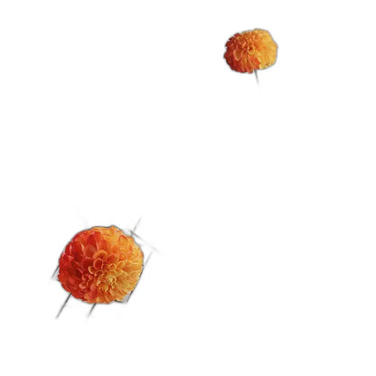 Cleaned variant image