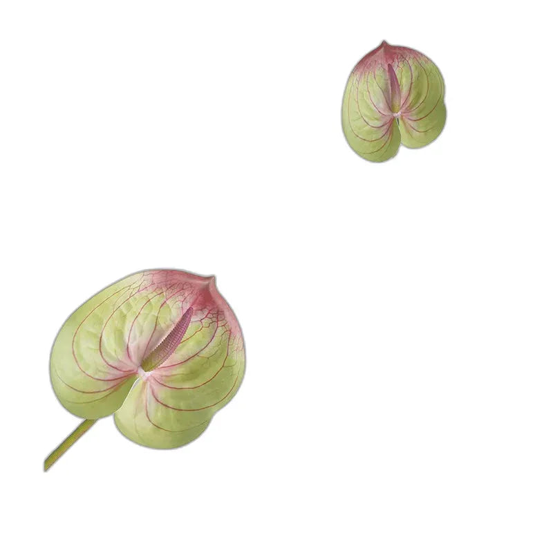 cleaned variant image