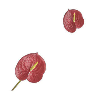 Cleaned variant image