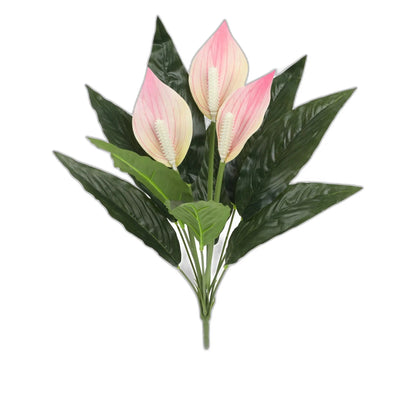 Cleaned variant image