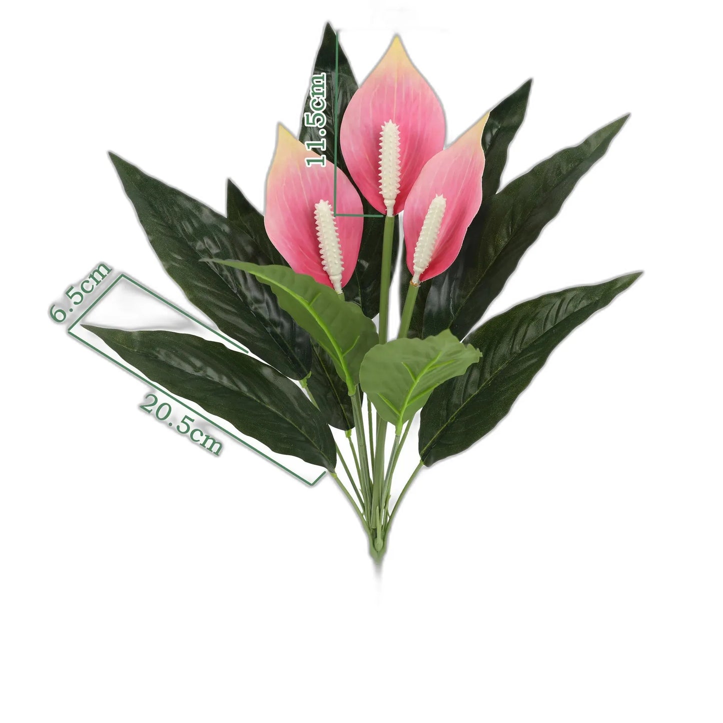 cleaned variant image