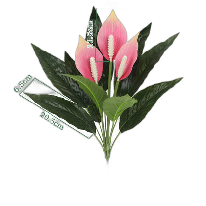 Cleaned variant image