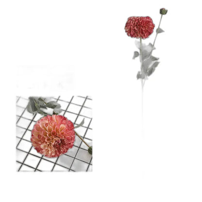 Cleaned variant image