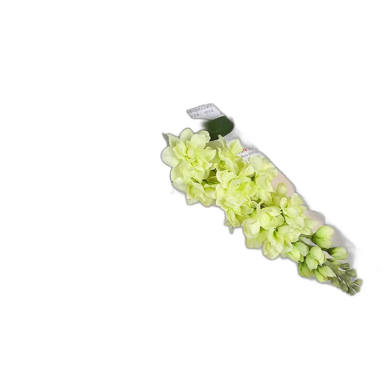 cleaned variant image