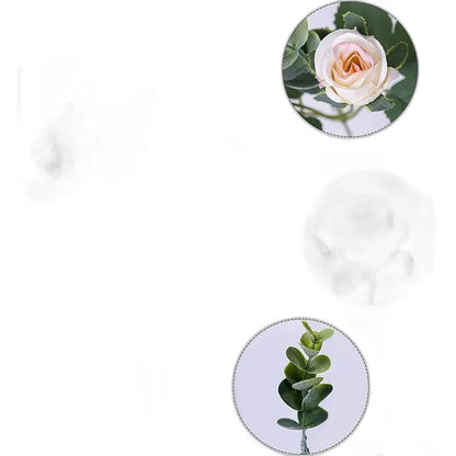 Cleaned variant image